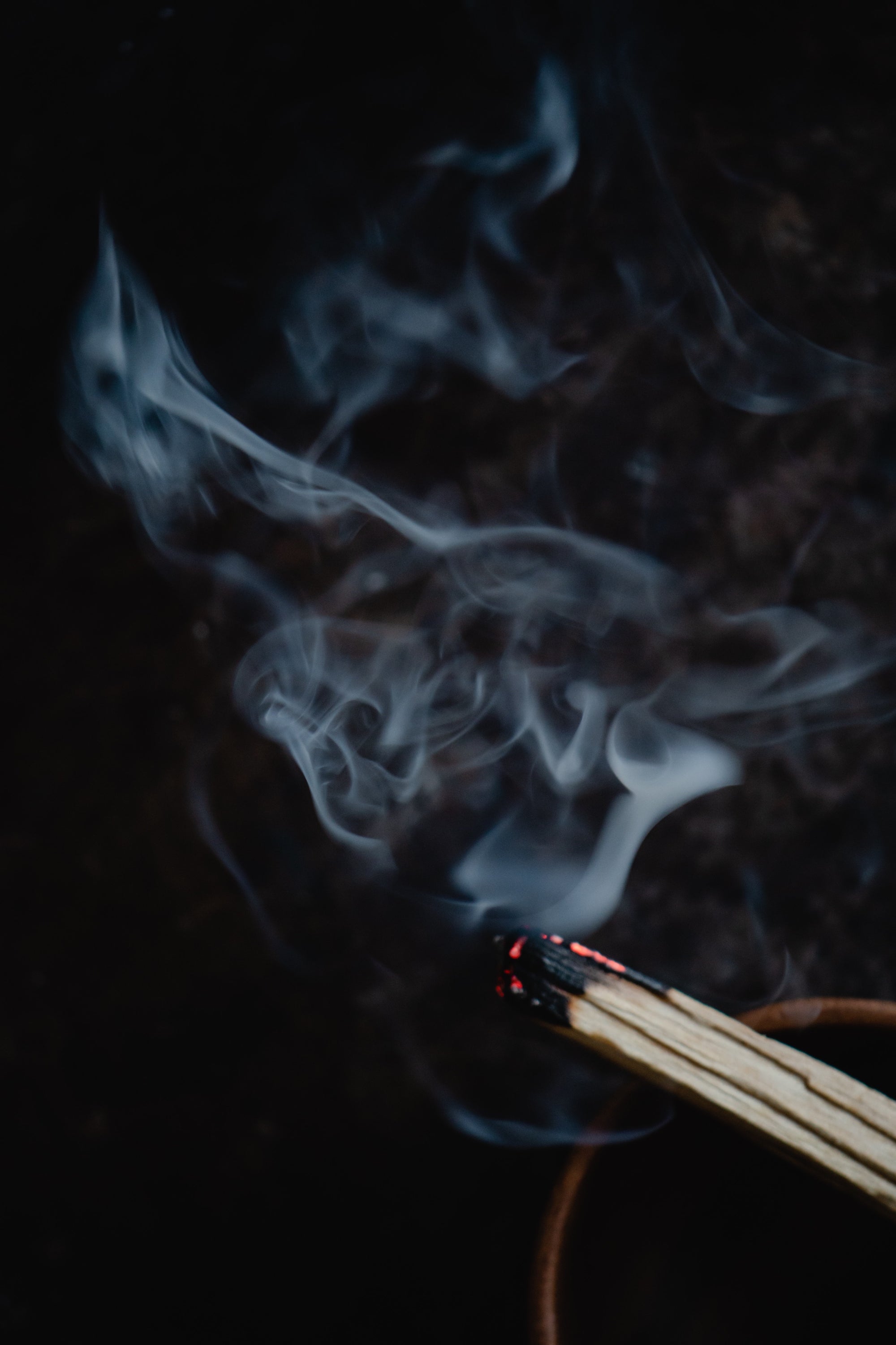 Sauge, Oliban et Bois de santal ...