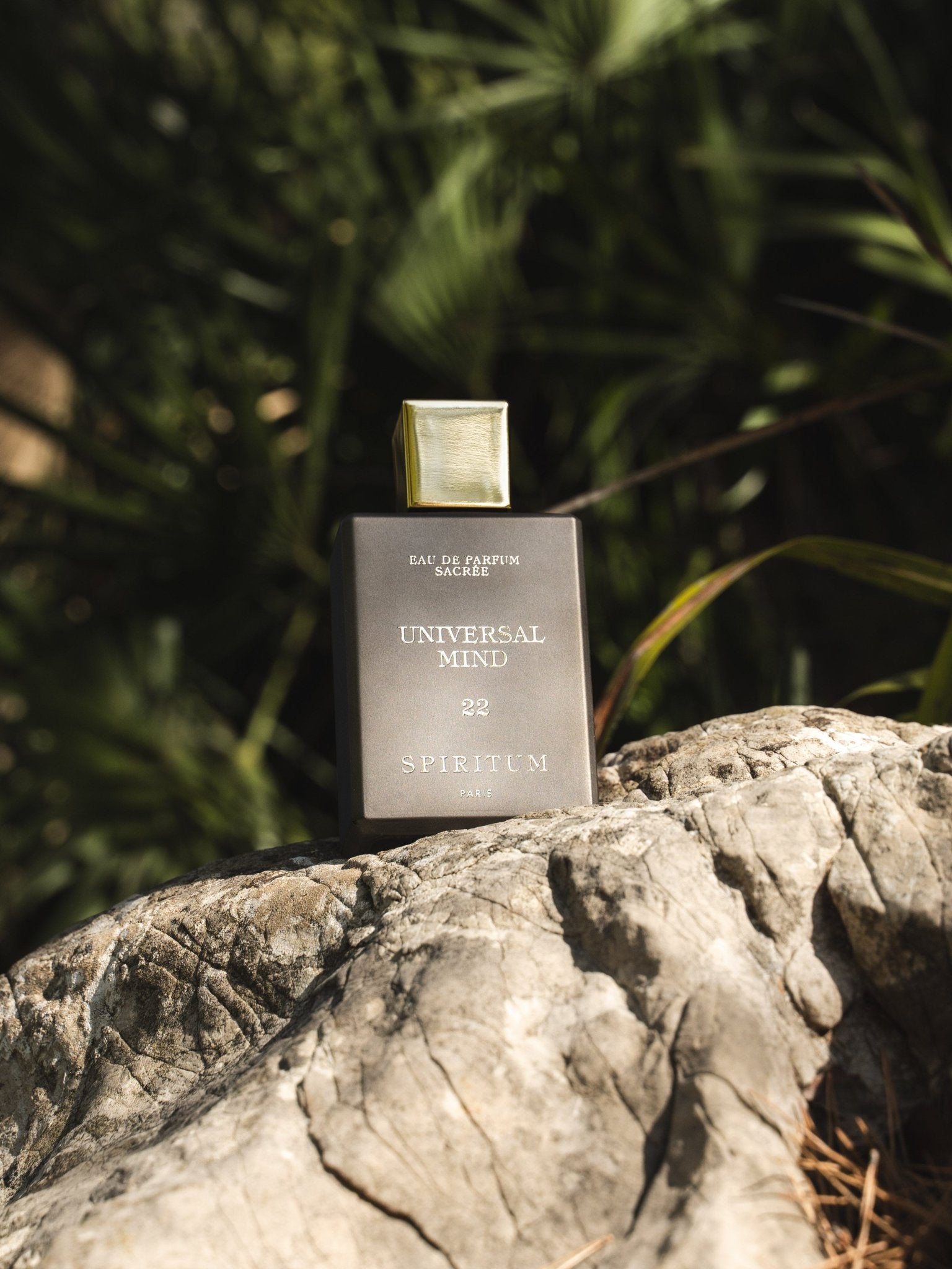 22 │ UNIVERSAL MIND 100ml Spiritum Paris