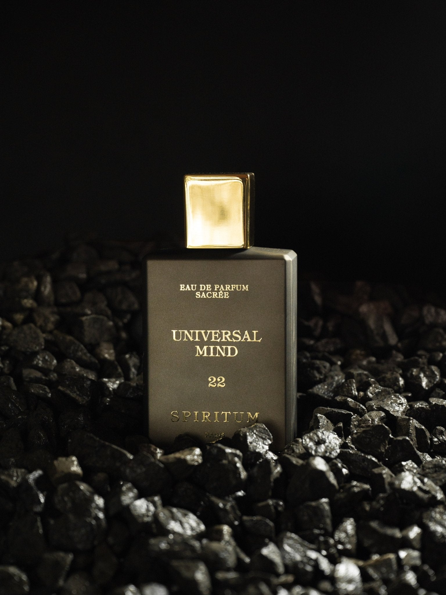 22 │ UNIVERSAL MIND 100ml - Spiritum Paris