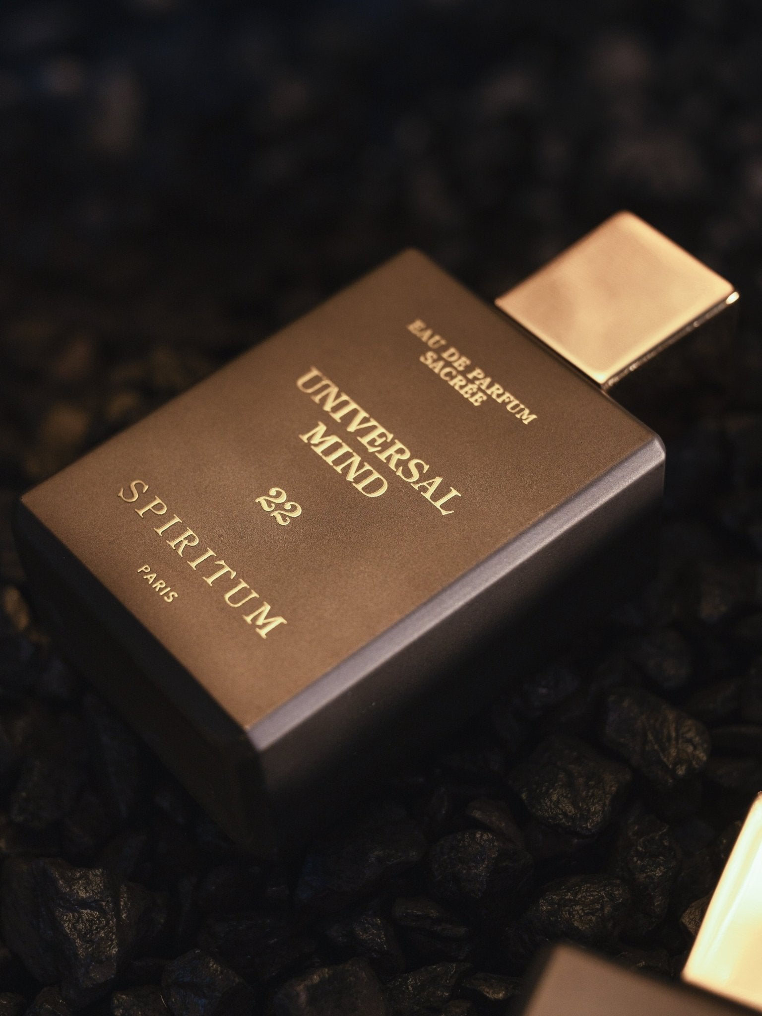 22 │ UNIVERSAL MIND 100ml - Spiritum Paris
