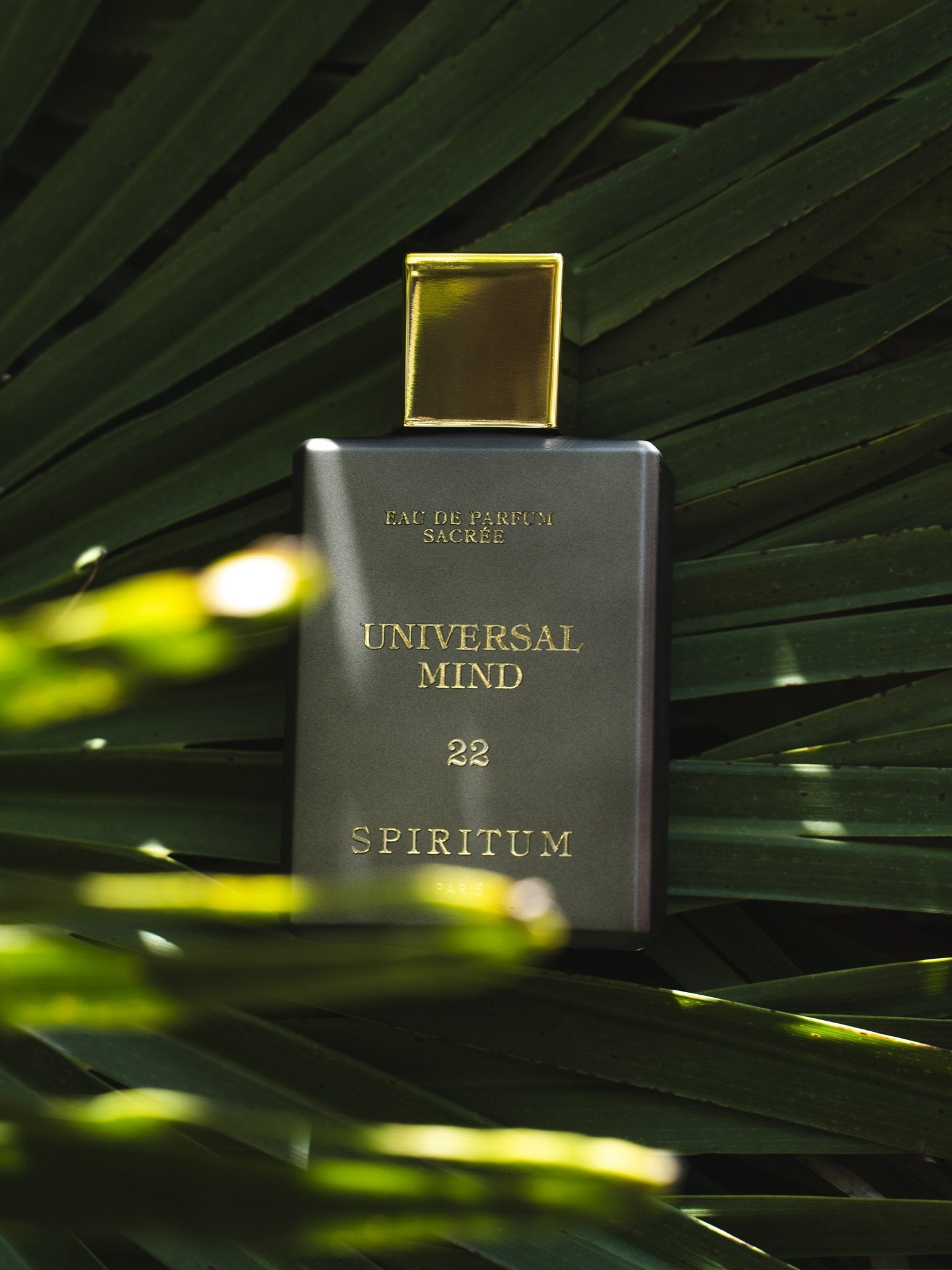 22 │ UNIVERSAL MIND 100ml Spiritum Paris