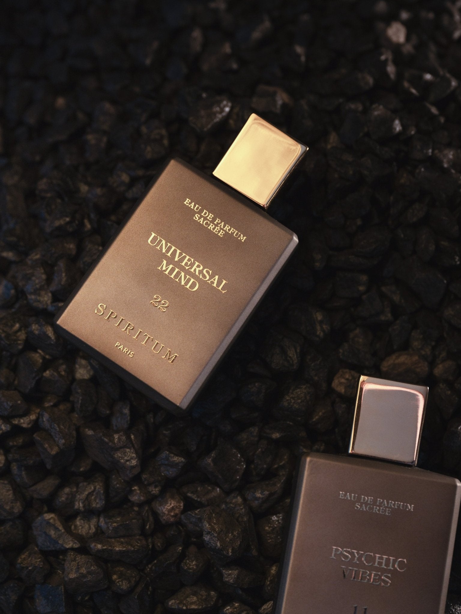 22 │ UNIVERSAL MIND 100ml - Spiritum Paris