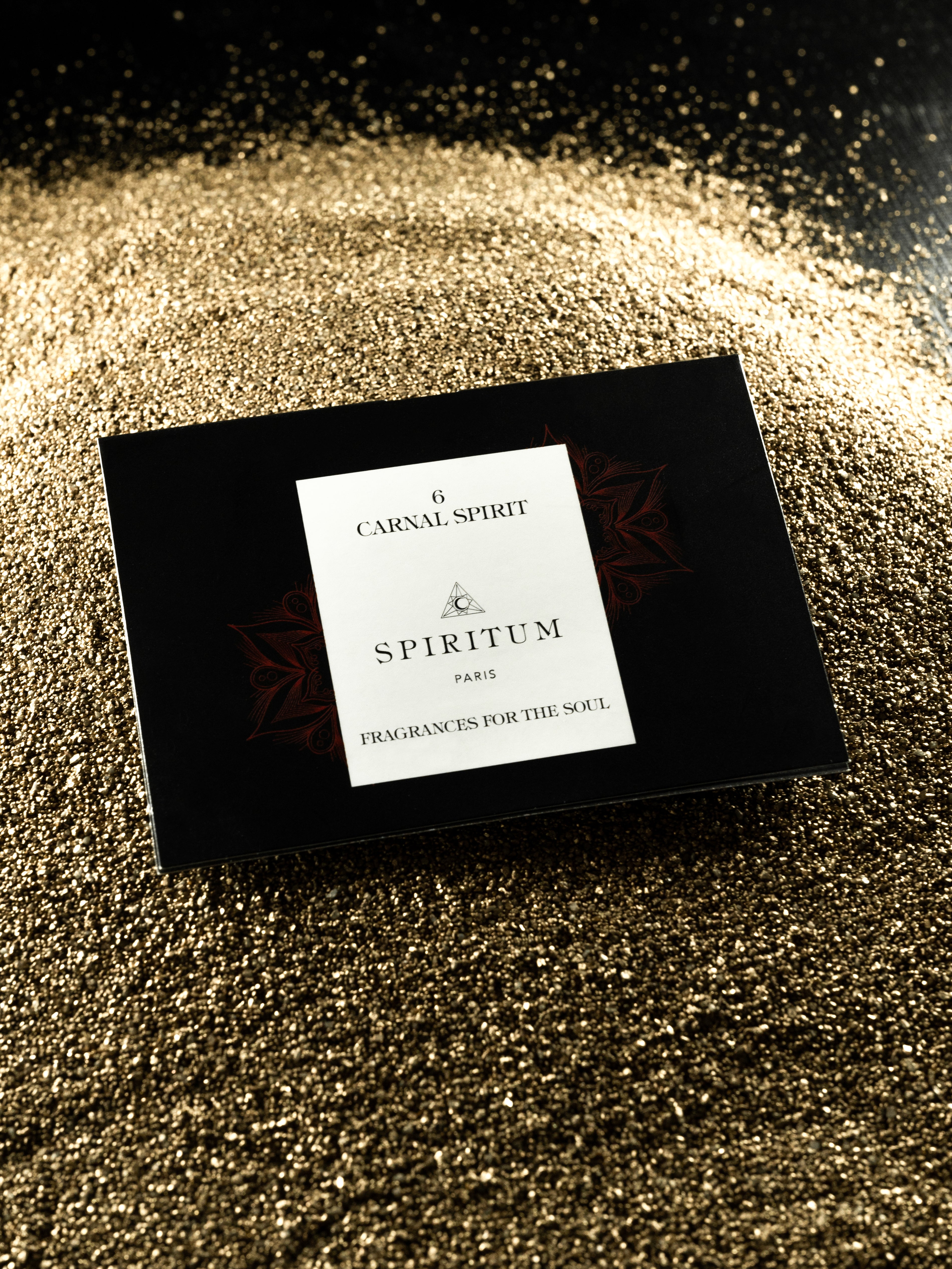 Sample - 6 │ CARNAL SPIRIT